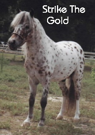 strikethegold.jpg